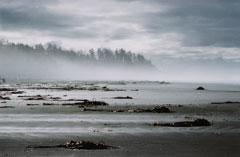 Long Beach, BC (on Vancouver Island)